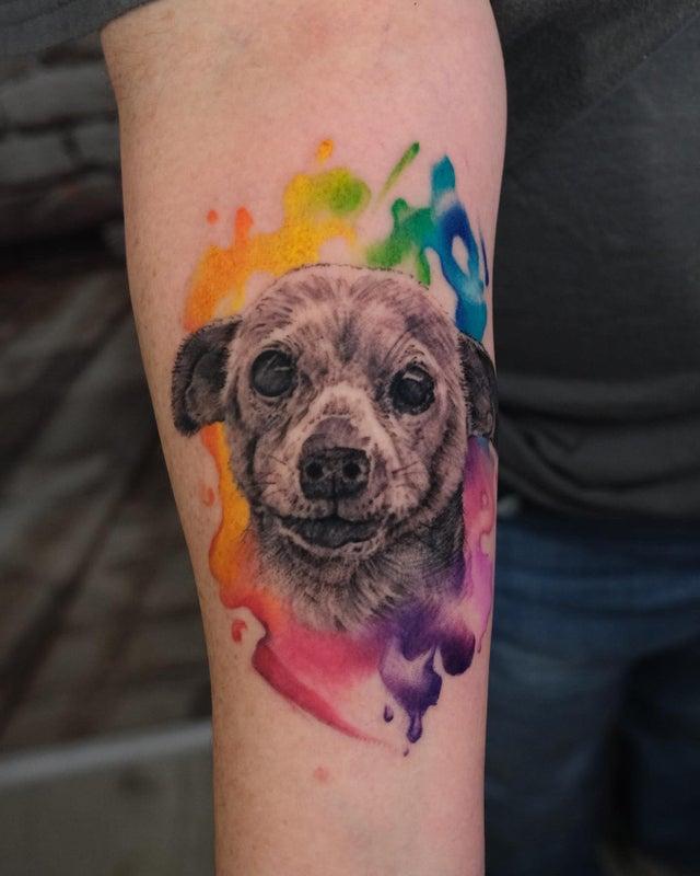 Pet portrait tattoo by Nik Lucas. Art Collector Tattoo studio, Los Angeles