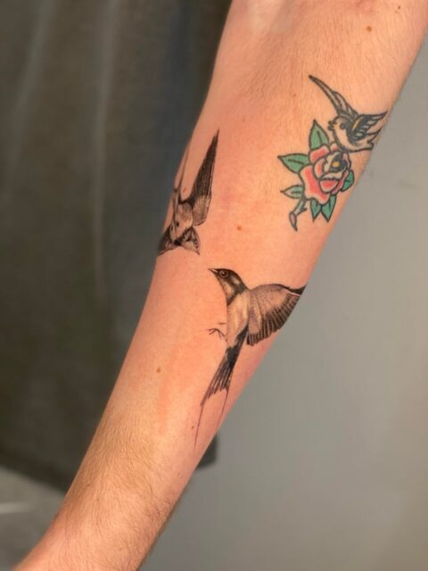 Thoughts on my new realistic swallows?