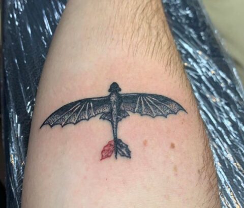 What do you guys think about my toothless tattoo?